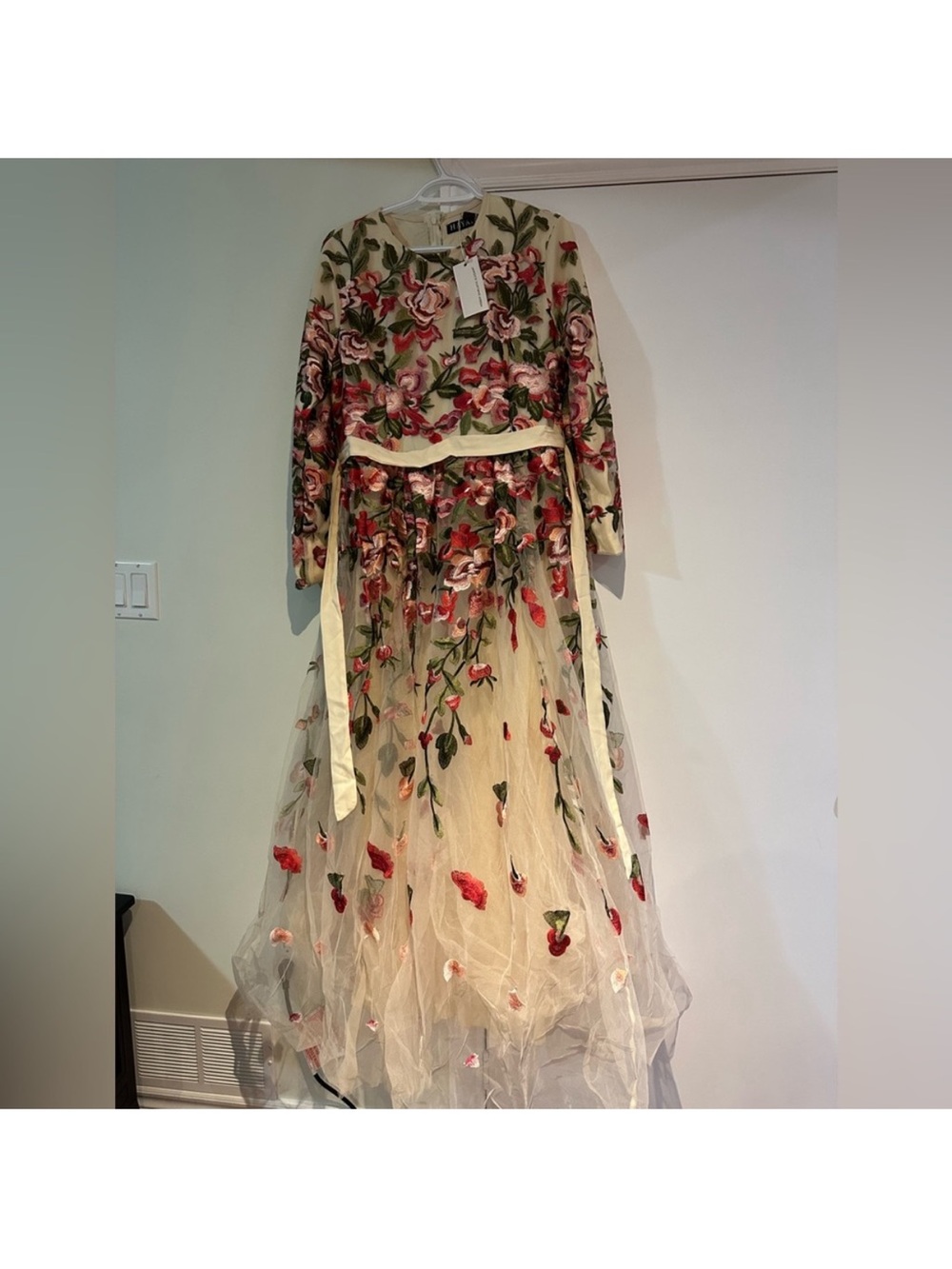 Floral Embroidered Long-Sleeve Tulle Dress - Cream with Pink & Green Floral